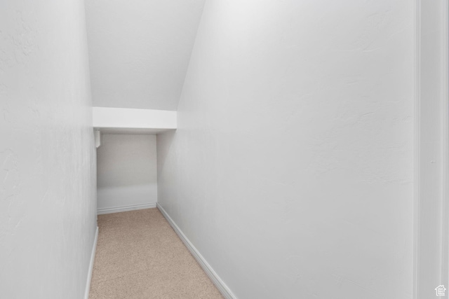 spacious closet featuring lofted ceiling and carpet flooring