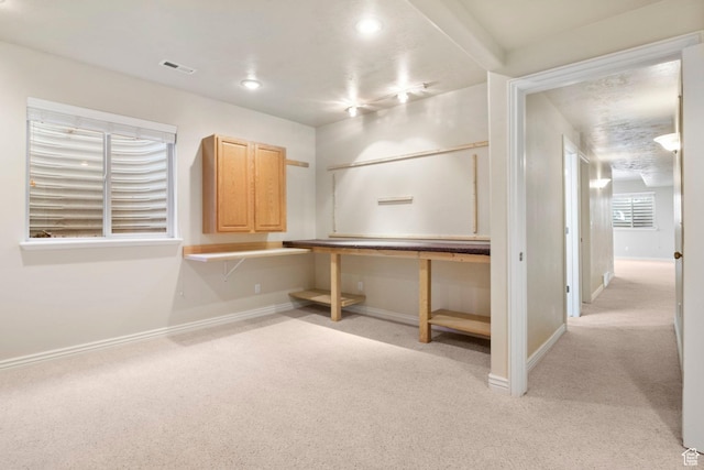 basement featuring light colored carpet