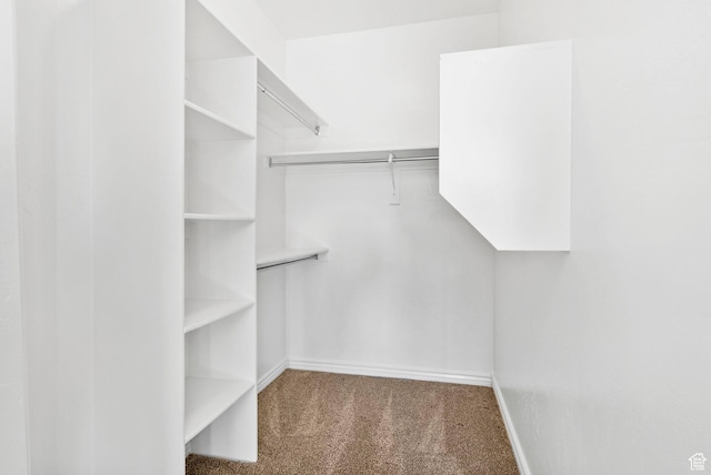 spacious closet featuring dark colored carpet