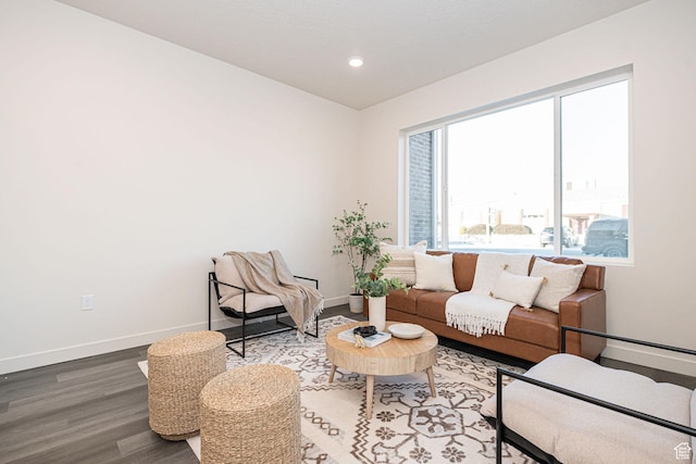 living area featuring hardwood / wood-style floors