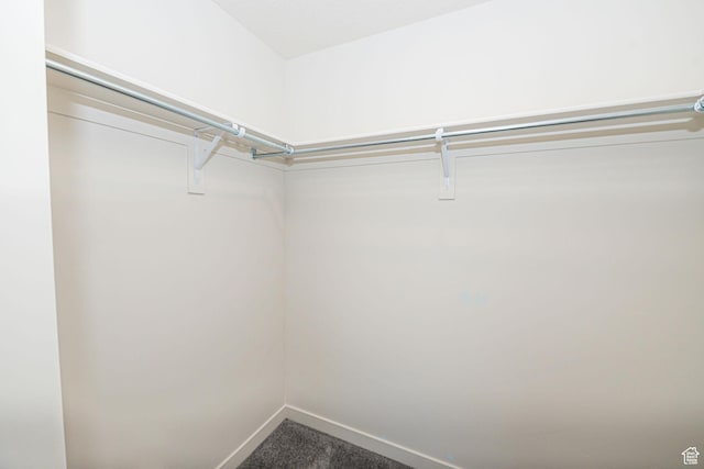 spacious closet with carpet floors