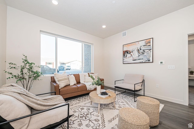 living room with hardwood / wood-style flooring