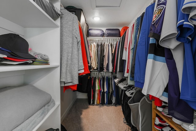 6671 W Skip Rock Rd, South Jordan, UT 84009 - walk in closet featuring carpet