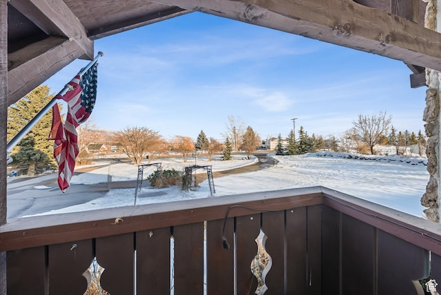 view of yard covered in snow