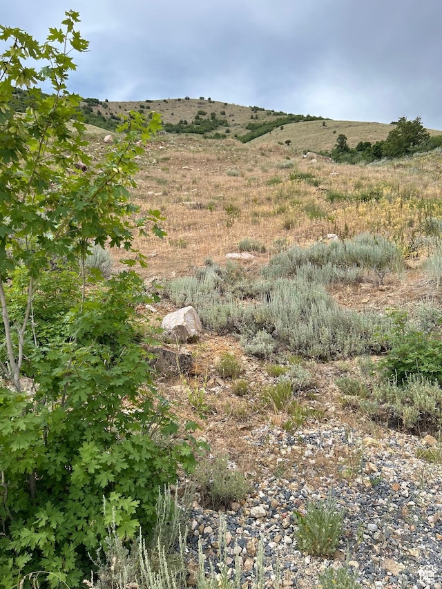 1331 N Maple Dr Unit 99, Huntsville, UT 84317 - photo 6
