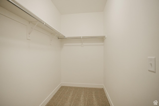 spacious closet with light colored carpet