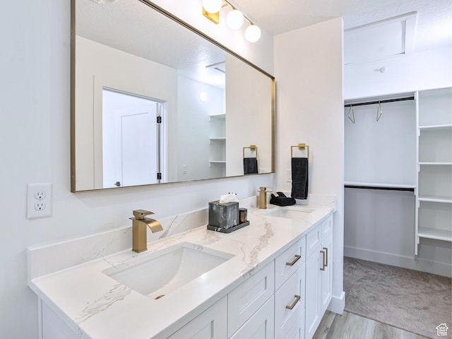 bathroom with a walk in closet, double vanity, and a sink