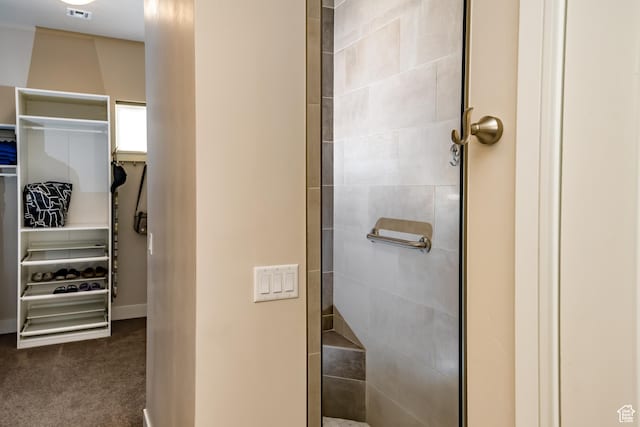 1283 N Gallen Rd W, Santa Clara, UT 84765 - bathroom with walk in shower