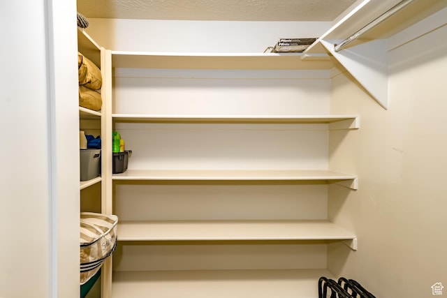 1283 N Gallen Rd W, Santa Clara, UT 84765 - view of spacious closet