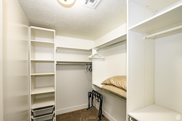 1283 N Gallen Rd W, Santa Clara, UT 84765 - walk in closet with carpet