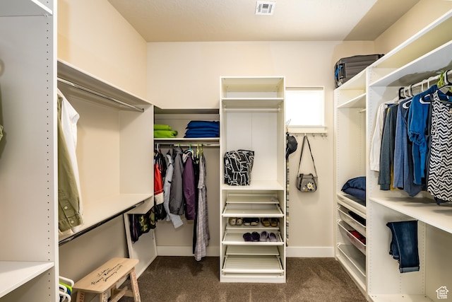 1283 N Gallen Rd W, Santa Clara, UT 84765 - spacious closet with dark carpet