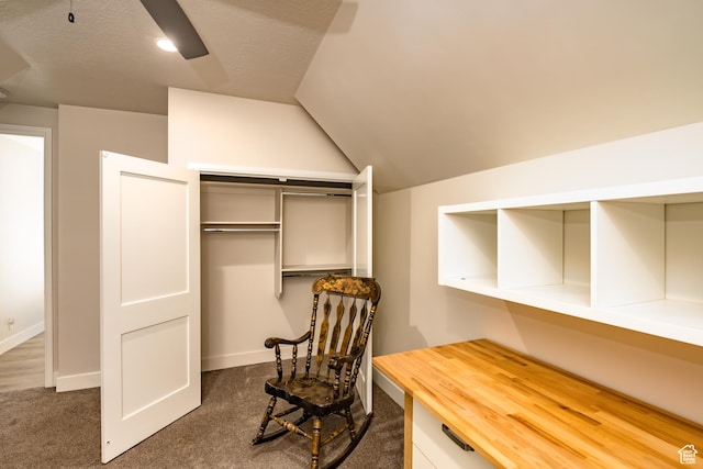 1283 N Gallen Rd W, Santa Clara, UT 84765 - spacious closet with lofted ceiling and dark carpet