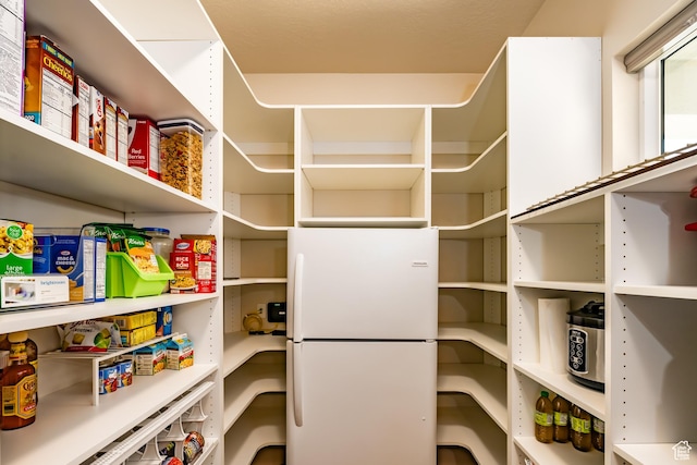 1283 N Gallen Rd W, Santa Clara, UT 84765 - view of pantry