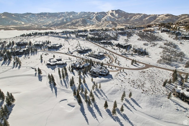 7242 Lupine Dr, Park City, UT 84098 - mountain view