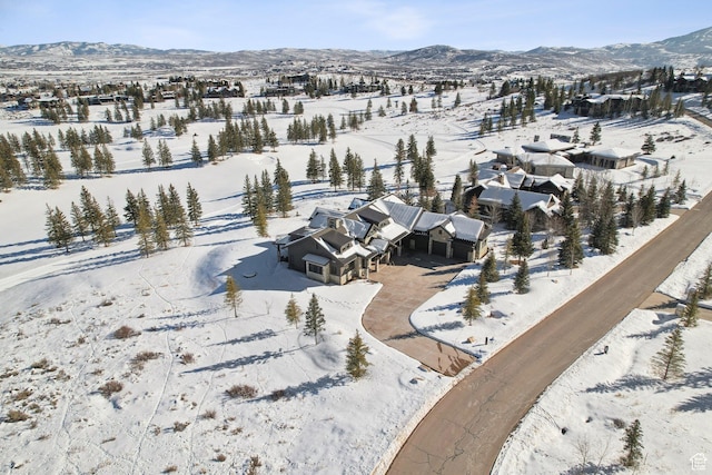 7242 Lupine Dr, Park City, UT 84098 - view of snowy aerial view