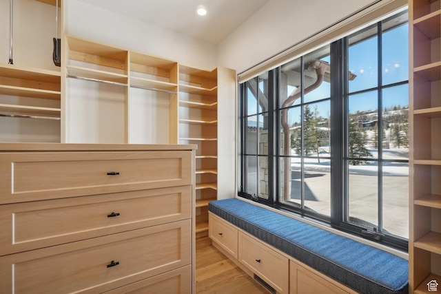 7242 Lupine Dr, Park City, UT 84098 - spacious closet featuring light wood-style flooring