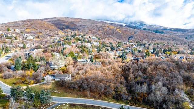 2063 E Ridgehollow Dr S, Bountiful, UT 84010