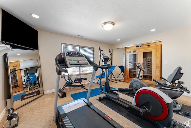 337 E Brayden Way, Draper, UT 84020 - exercise room featuring light carpet and a textured ceiling