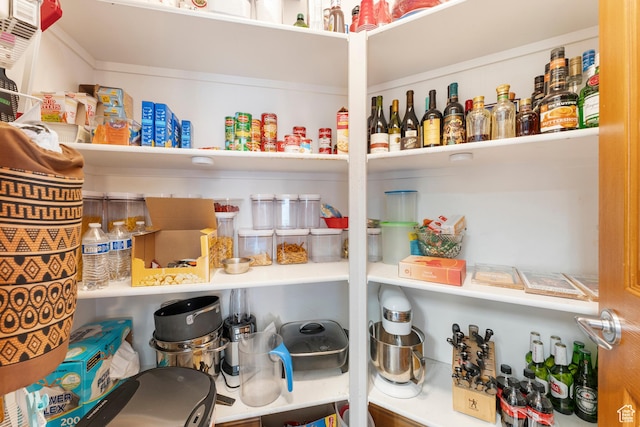 337 E Brayden Way, Draper, UT 84020 - view of pantry