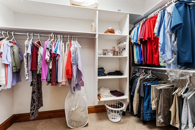 337 E Brayden Way, Draper, UT 84020 - walk in closet with carpet flooring
