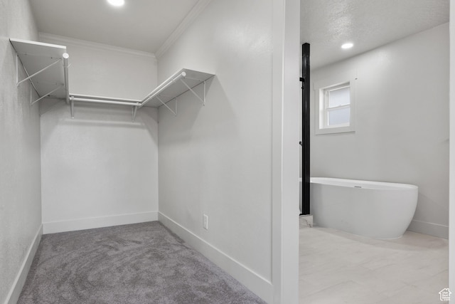 1455 E 100 S, Spanish Fork, UT 84660 - walk in closet with carpet floors