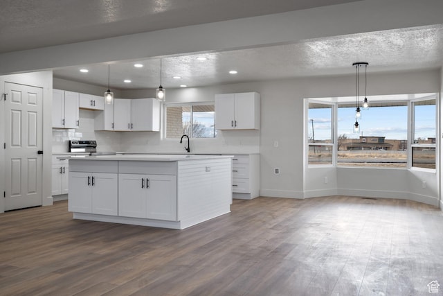 1455 E 100 S, Spanish Fork, UT 84660 - kitchen with wood finished floors, stainless steel electric stove, and white cabinets