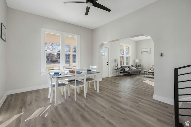 dining space featuring hardwood / wood-style flooring and ceiling fan