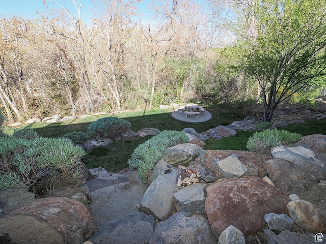 2960 E Oak Park Ln S, Holladay, UT 84117 - view of yard