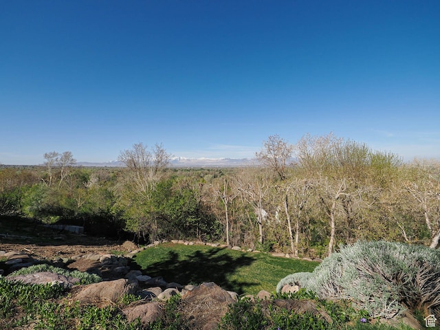 2960 E Oak Park Ln S, Holladay, UT 84117 - view of nature