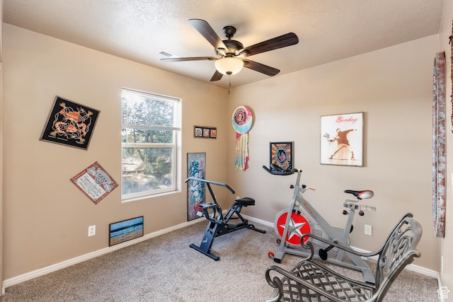 1534 N 300 E, Leeds, UT 84746 - photo 10