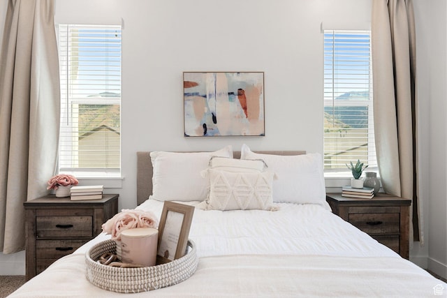 460 W 15 S Unit G301, Providence, UT 84332 - bedroom featuring multiple windows