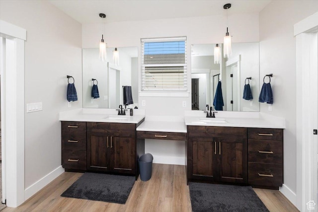 bathroom featuring wood-type flooring and vanity