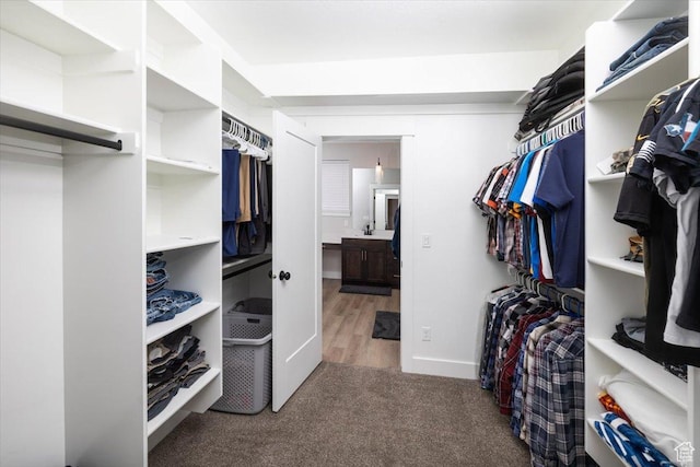 spacious closet featuring carpet flooring