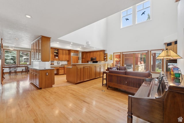 1 Spyglass Ct, Park City, UT 84060 - living room with a high ceiling and light hardwood / wood-style flooring