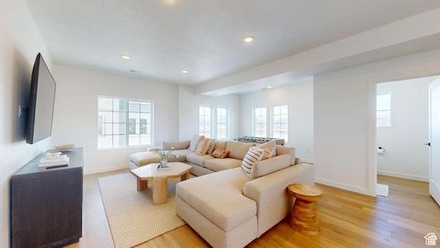 living room featuring a wealth of natural light and light hardwood / wood-style floors