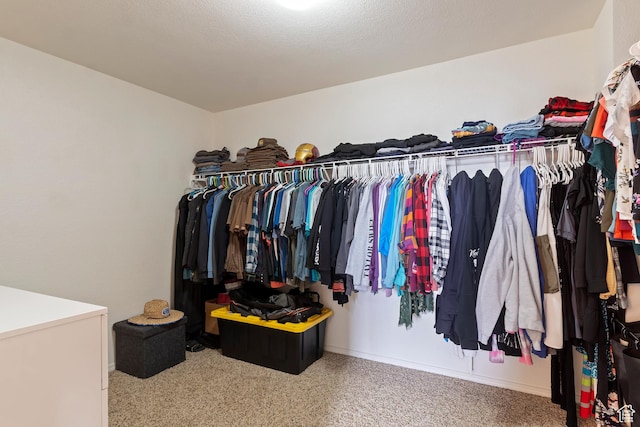walk in closet featuring carpet flooring