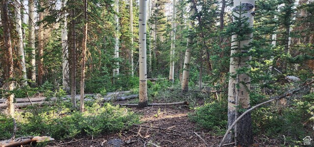 Unit 1, Annabella, UT 84711