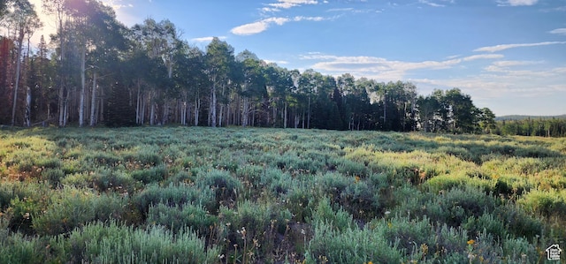 Unit 1, Annabella, UT 84711
