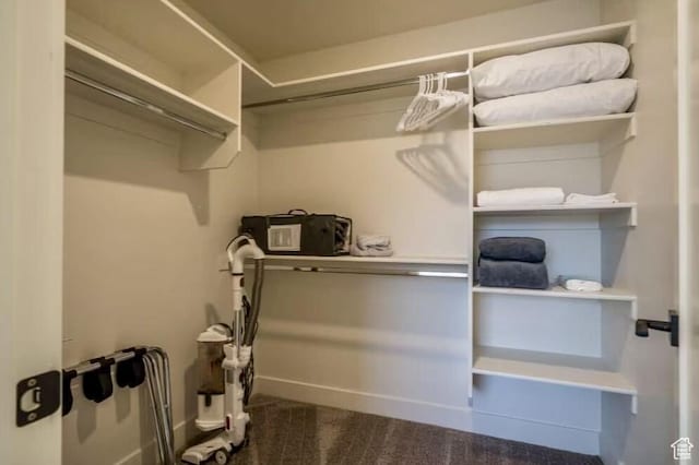 walk in closet featuring carpet