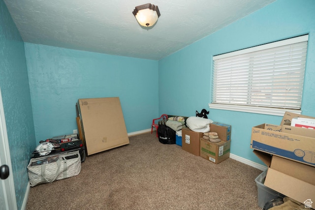 interior space featuring carpet floors and a textured ceiling