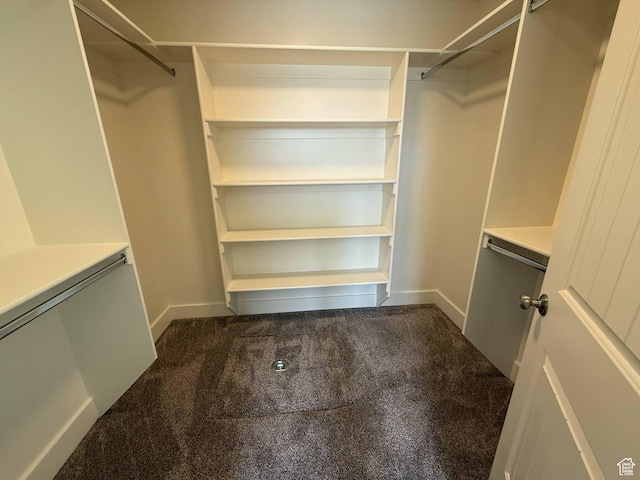 1030 N 200 E, Ferron, UT 84523 - walk in closet with carpet flooring