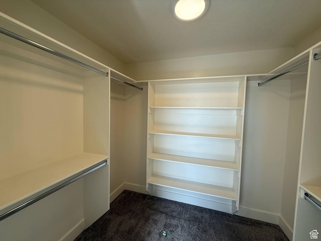 1030 N 200 E, Ferron, UT 84523 - walk in closet with dark carpet