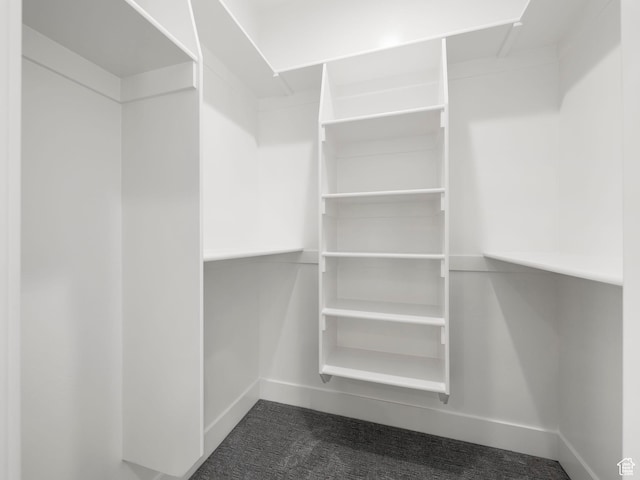 0, Preston, ID 83263 - spacious closet featuring dark carpet