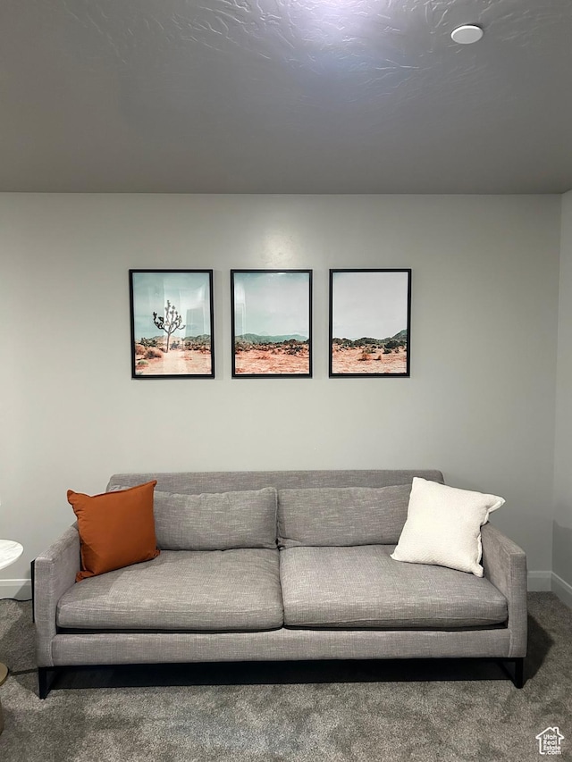 128 N Lone Rock Dr Unit A105, Hurricane, UT 84737 - living area with baseboards and carpet floors