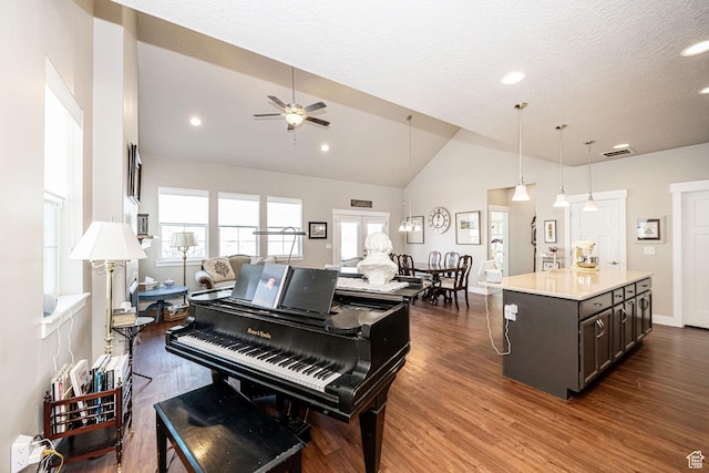 1206 W Holt Farm Ln, South Jordan, UT 84095 - misc room with dark wood-type flooring, a textured ceiling, vaulted ceiling, and ceiling fan