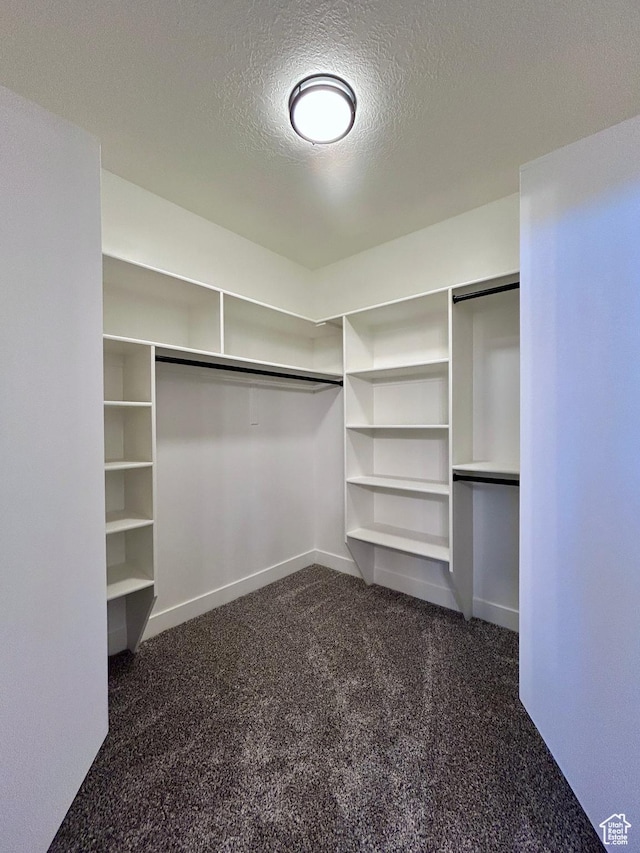 walk in closet featuring dark carpet