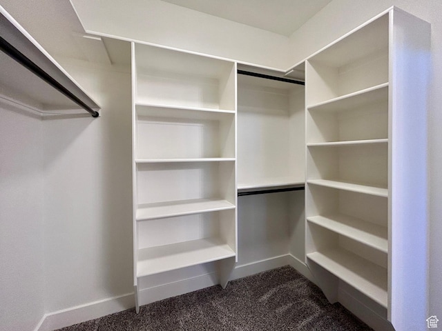 spacious closet featuring dark colored carpet