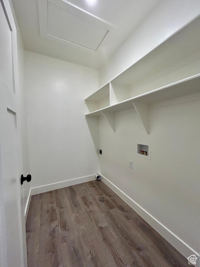 washroom featuring hookup for a washing machine, electric dryer hookup, and hardwood / wood-style floors