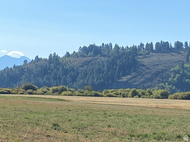 300 Haderlie Ln Unit 3, Freedom, WY 83120