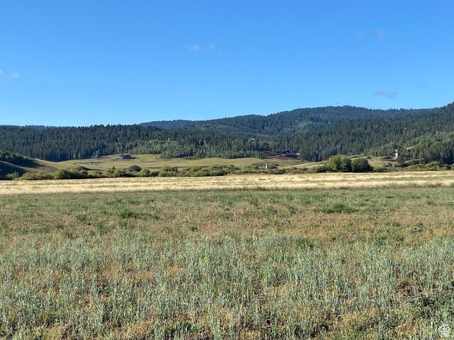 300 Haderlie Ln Unit 3, Freedom, WY 83120